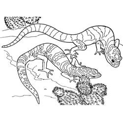 Coloring pages: Lizard - Free Printable Coloring Pages