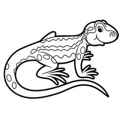 Coloring page: Lizard (Animals) #179636 - Free Printable Coloring Pages