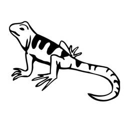 Coloring page: Lizard (Animals) #179639 - Free Printable Coloring Pages