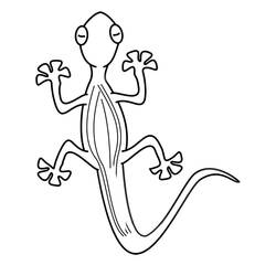 Coloring page: Lizard (Animals) #179643 - Free Printable Coloring Pages