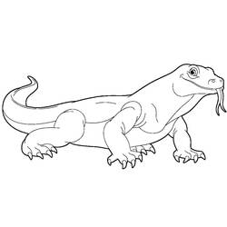 Coloring page: Lizard (Animals) #179652 - Free Printable Coloring Pages