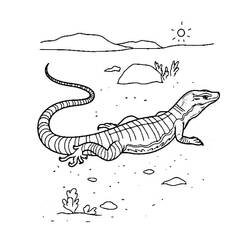 Coloring page: Lizard (Animals) #217867 - Free Printable Coloring Pages