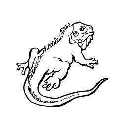 Coloring page: Lizards (Animals) #22338 - Printable coloring pages