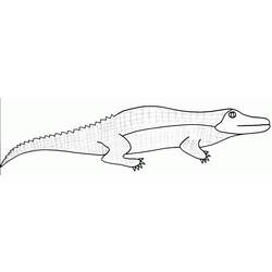 Coloring page: Lizards (Animals) #22346 - Printable coloring pages