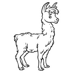 Coloring page: Llama (Animals) #179530 - Free Printable Coloring Pages