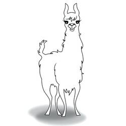 Coloring page: Llama (Animals) #179534 - Free Printable Coloring Pages