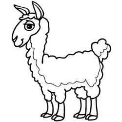 Llama (Animals) coloring page #179541 to print and color