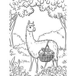 Coloring page: Llama (Animals) #217819 - Free Printable Coloring Pages