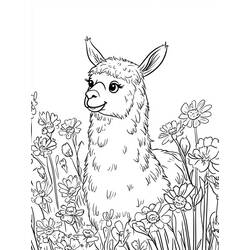 Coloring page: Llama (Animals) #217827 - Free Printable Coloring Pages