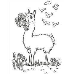 Coloring page: Llama (Animals) #217831 - Free Printable Coloring Pages