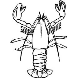 Coloring page: Lobster (Animals) #186720 - Free Printable Coloring Pages