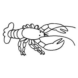Coloring pages: Lobster - Free Printable Coloring Pages