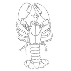 Coloring page: Lobster (Animals) #22488 - Free Printable Coloring Pages