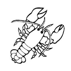 Coloring page: Lobster (Animals) #22498 - Free Printable Coloring Pages