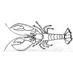 Coloring page: Lobster (Animals) #22502 - Free Printable Coloring Pages