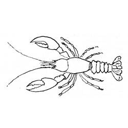 Coloring page: Lobster (Animals) #22541 - Free Printable Coloring Pages