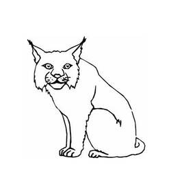 Coloring page: Lynx (Animals) #10807 - Printable coloring pages