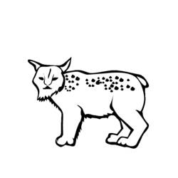 Coloring page: Lynx (Animals) #10829 - Printable coloring pages