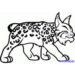 Coloring page: Lynx (Animals) #10840 - Printable coloring pages