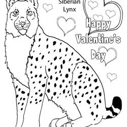 Coloring page: Lynx (Animals) #10876 - Printable coloring pages