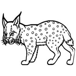 Lynx (Animals) coloring page #189223 to print and color