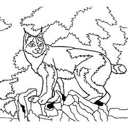 Lynx (Animals) coloring page #189225 to print and color