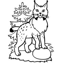 Lynx (Animals) coloring page #189227 to print and color