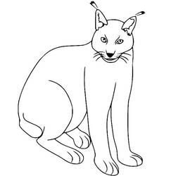Lynx (Animals) coloring page #189235 to print and color