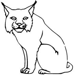 Lynx (Animals) coloring page #189236 to print and color