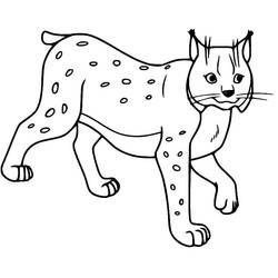 Lynx (Animals) coloring page #189247 to print and color