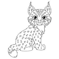 Lynx (Animals) coloring page #189248 to print and color