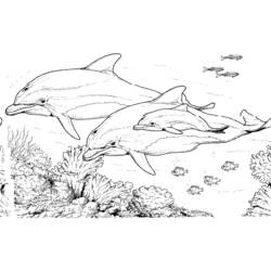 Coloring page: Marine Animals (Animals) #21985 - Free Printable Coloring Pages