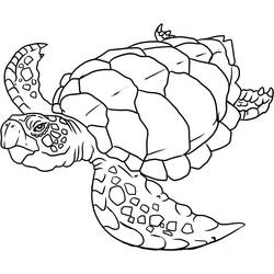 Coloring page: Marine Animals (Animals) #22001 - Free Printable Coloring Pages
