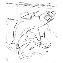 Coloring page: Marine Animals (Animals) #22017 - Free Printable Coloring Pages