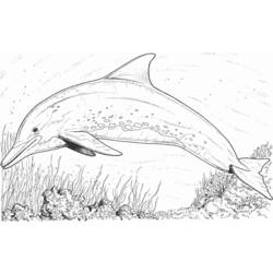 Coloring page: Marine Animals (Animals) #22047 - Free Printable Coloring Pages