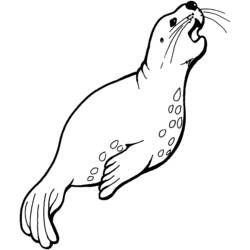 Coloring page: Marine Animals (Animals) #22065 - Printable coloring pages
