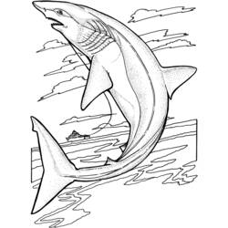 Coloring page: Marine Animals (Animals) #22073 - Free Printable Coloring Pages
