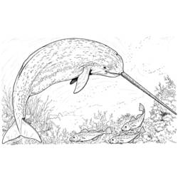 Coloring page: Marine Animals (Animals) #22104 - Free Printable Coloring Pages