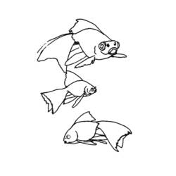 Coloring page: Marine Animals (Animals) #22127 - Free Printable Coloring Pages