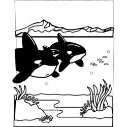 Coloring page: Marine Animals (Animals) #22133 - Free Printable Coloring Pages