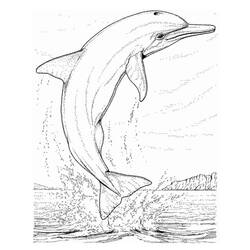 Coloring page: Marine Animals (Animals) #22143 - Free Printable Coloring Pages