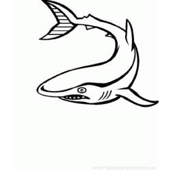 Coloring page: Marine Animals (Animals) #22144 - Free Printable Coloring Pages
