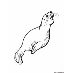 Coloring page: Marine Animals (Animals) #22145 - Free Printable Coloring Pages