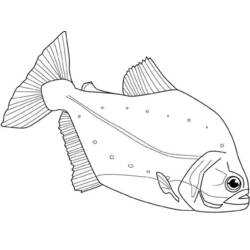 Coloring page: Marine Animals (Animals) #22148 - Free Printable Coloring Pages