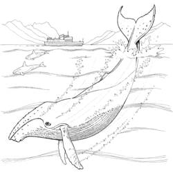 Coloring page: Marine Animals (Animals) #22151 - Free Printable Coloring Pages