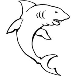 Coloring page: Marine Animals (Animals) #22170 - Free Printable Coloring Pages