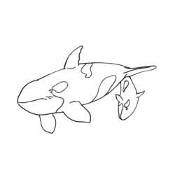 Coloring page: Marine Animals (Animals) #22181 - Free Printable Coloring Pages