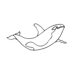 Coloring page: Marine Animals (Animals) #22188 - Free Printable Coloring Pages