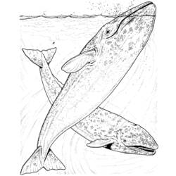 Coloring page: Marine Animals (Animals) #22202 - Free Printable Coloring Pages