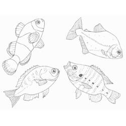 Coloring page: Marine Animals (Animals) #22222 - Free Printable Coloring Pages